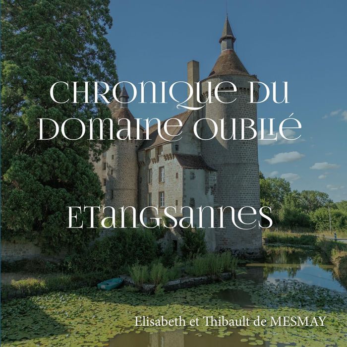 Couverture du livre « Chronique du domaine oublié : Étangsannes » de Élisabeth de Mesmay, librairie Les Contes Infusés à Corte