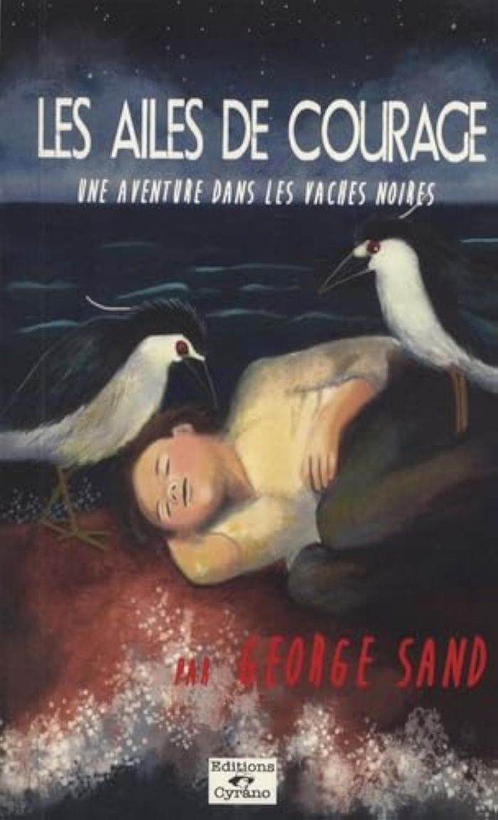 Couverture du livre « Les ailes de courage : une aventure dans les Vaches noires », librairie Les Contes Infusés à Corte