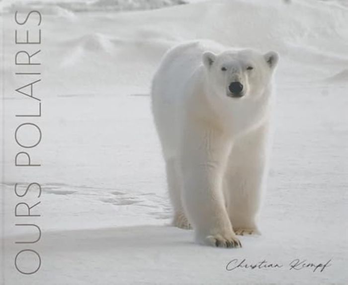 Couverture du livre « OURS POLAIRES », librairie Les Contes Infusés à Corte