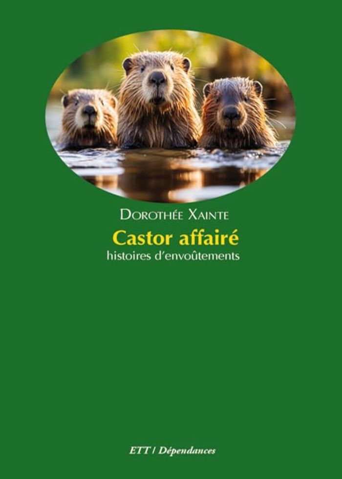 Couverture du livre « Castor affairé : histoires d'envoûtements », librairie Les Contes Infusés à Corte