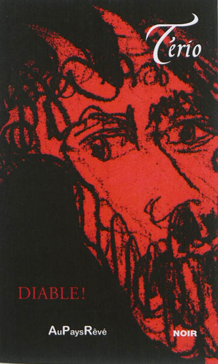 Couverture du livre « DIABLE ! » de Terio, librairie Les Contes Infusés à Corte
