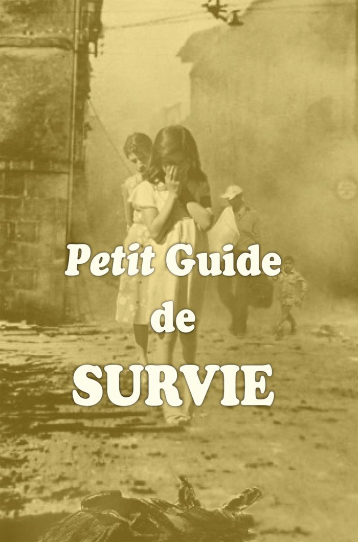 Couverture du livre « PETIT GUIDE DE SURVIE - CONSEILS DE BON SENS EN SITUATION D URGENCE », librairie Les Contes Infusés à Corte