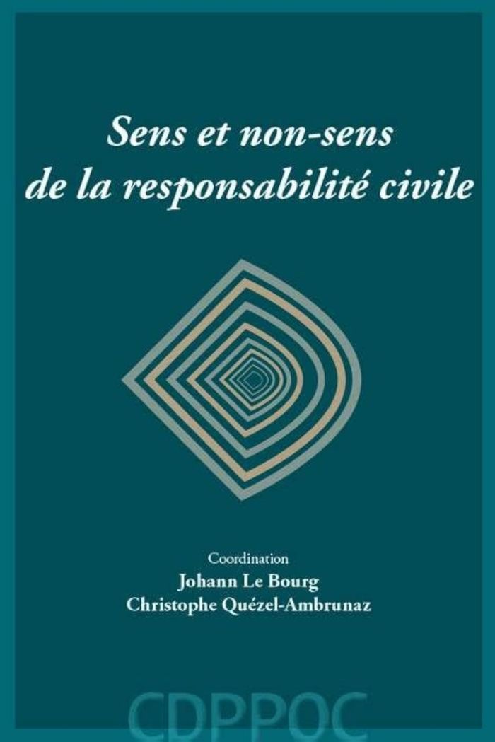 Couverture du livre « SENS ET NON-SENS DE LA RESPONSABILITE CIVILE » de Le Bourg Johann, librairie Les Contes Infusés à Corte