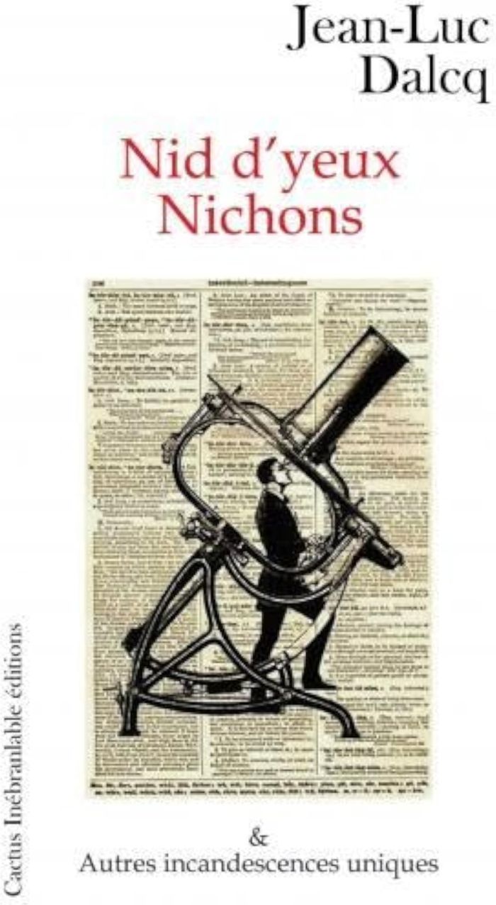 Couverture du livre « NID D'YEUX NICHONS » de Jean-Luc Dalcq, librairie Les Contes Infusés à Corte