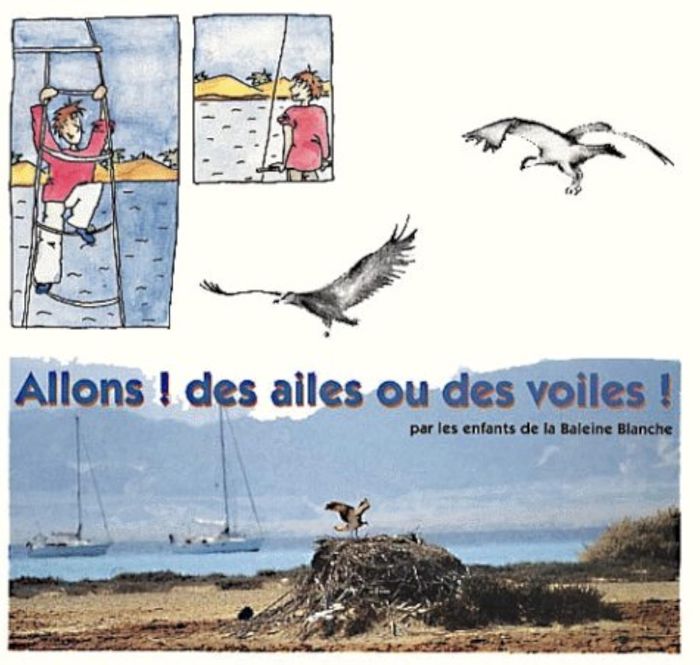 Couverture du livre « ALLONS ! DES AILES OU DES VOILES ! » de Collectif, librairie Les Contes Infusés à Corte