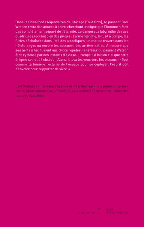 Quatrième de couverture de « SOUS L'EMPIRE DES OISEAUX »
