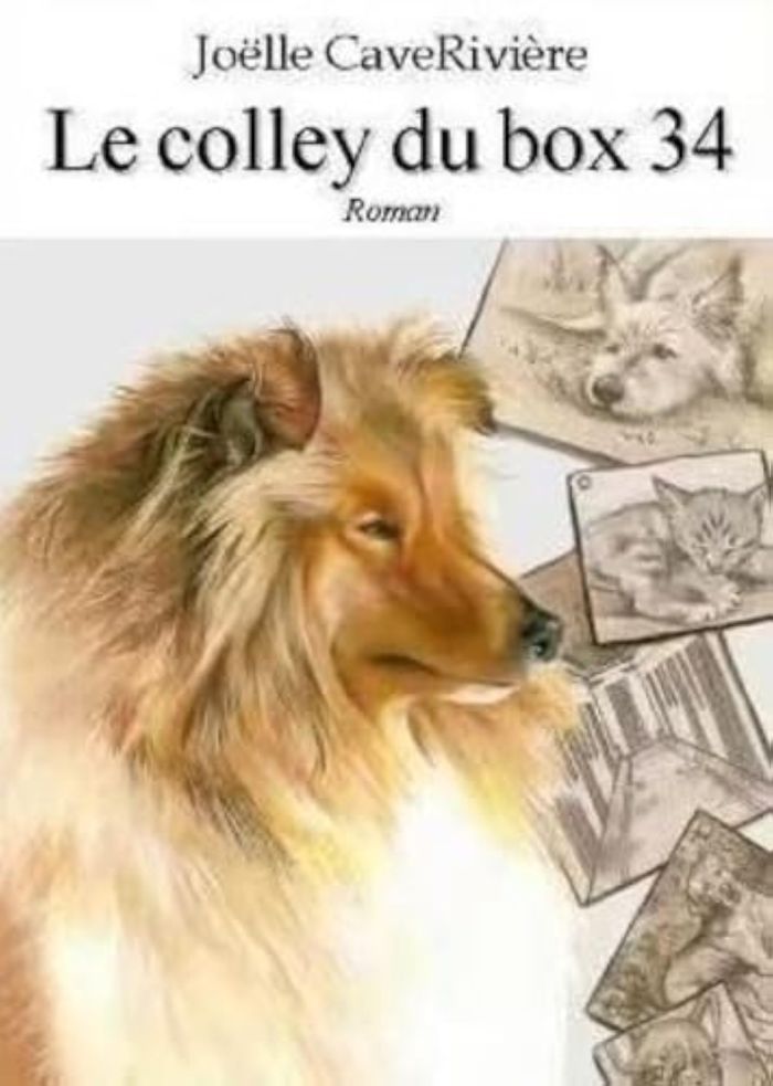 Couverture du livre « LE COLLEY DU BOX 34 » de Joelle Caveriviere, librairie Les Contes Infusés à Corte