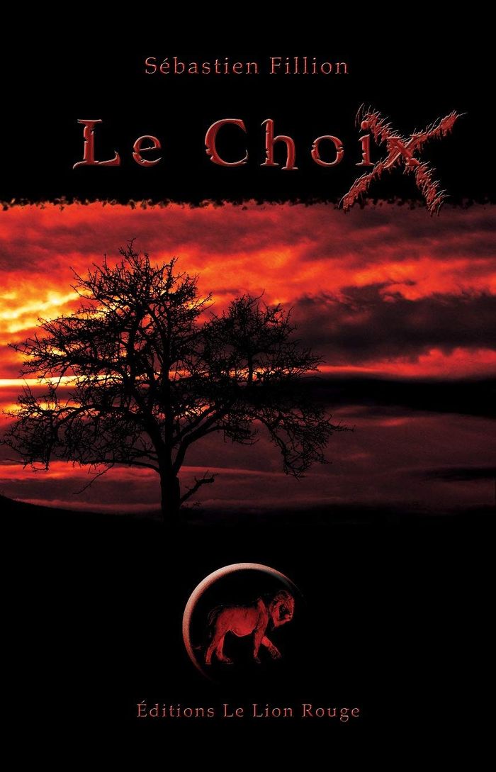 Couverture du livre « LE CHOIX » de Sebastien Fillion, librairie Les Contes Infusés à Corte