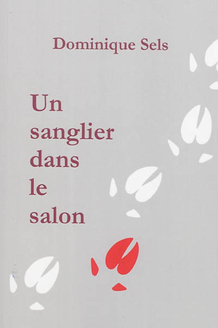 Couverture du livre « UN SANGLIER DANS LE SALON », librairie Les Contes Infusés à Corte