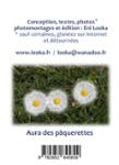 Quatrième de couverture de « ENNI LOOKA FAIT SESTIMBRES »