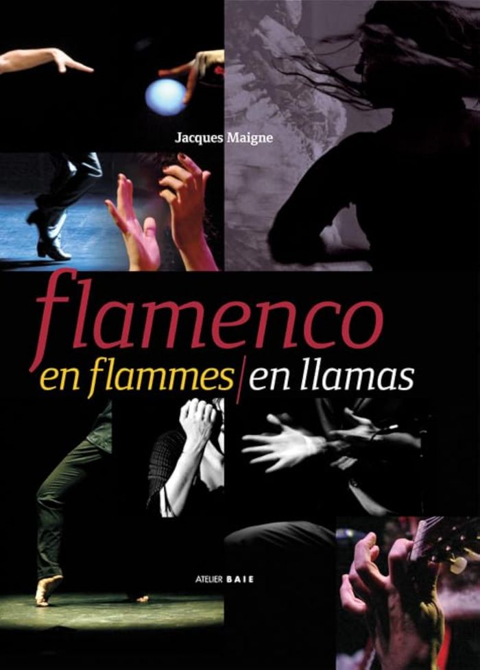 Couverture du livre « FLAMENCO EN FLAMMES/EN LLAMAS » de Jacques Maigne, librairie Les Contes Infusés à Corte
