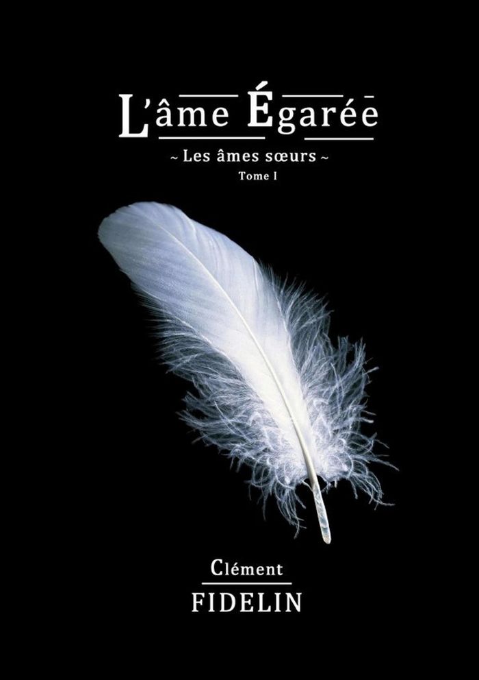 Couverture du livre « L'AME EGAREE » de Clement Fidelin, librairie Les Contes Infusés à Corte