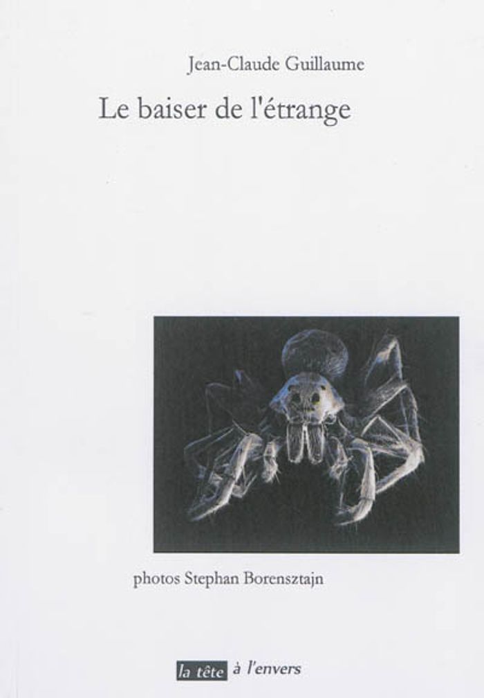 Couverture du livre « LE BAISER DE L'ETRANGE », librairie Les Contes Infusés à Corte