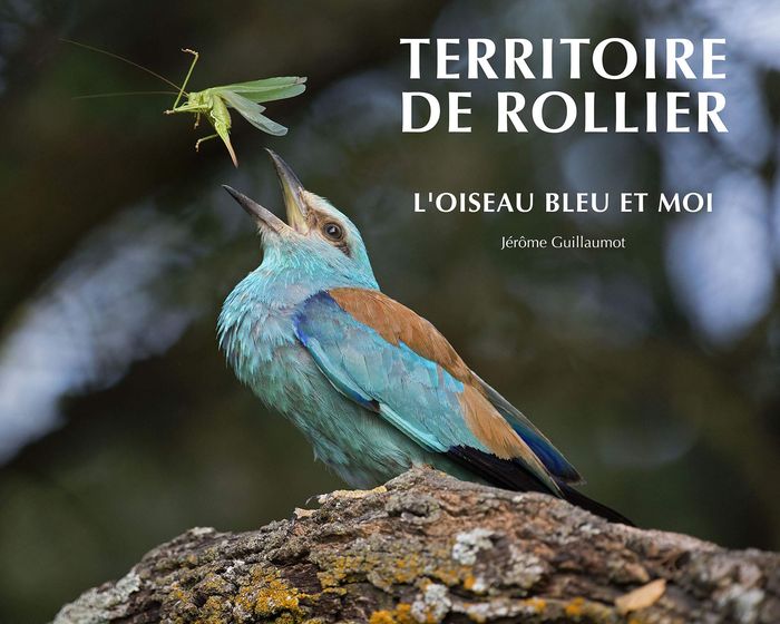 Couverture du livre « TERRITOIRE DE ROLLIER - L'OISEAU BLEU ET MOI » de Jerome Guillaumot, librairie Les Contes Infusés à Corte