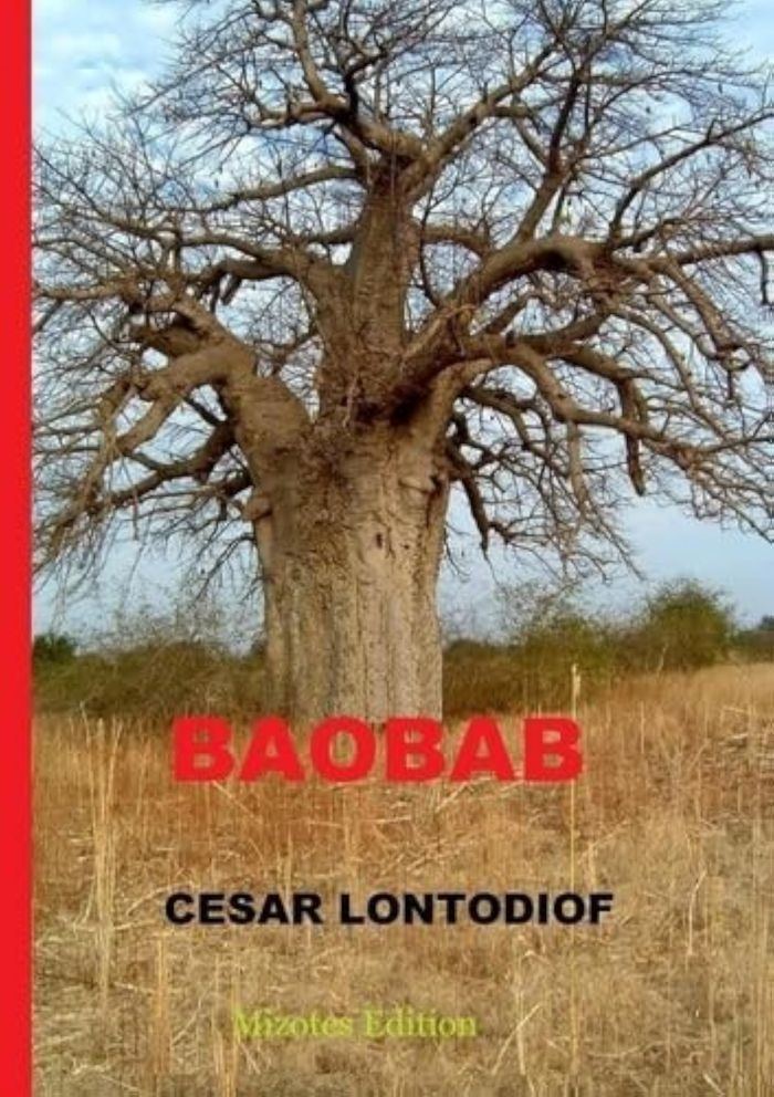 Couverture du livre « Baobab » de César Lontodiof, librairie Les Contes Infusés à Corte