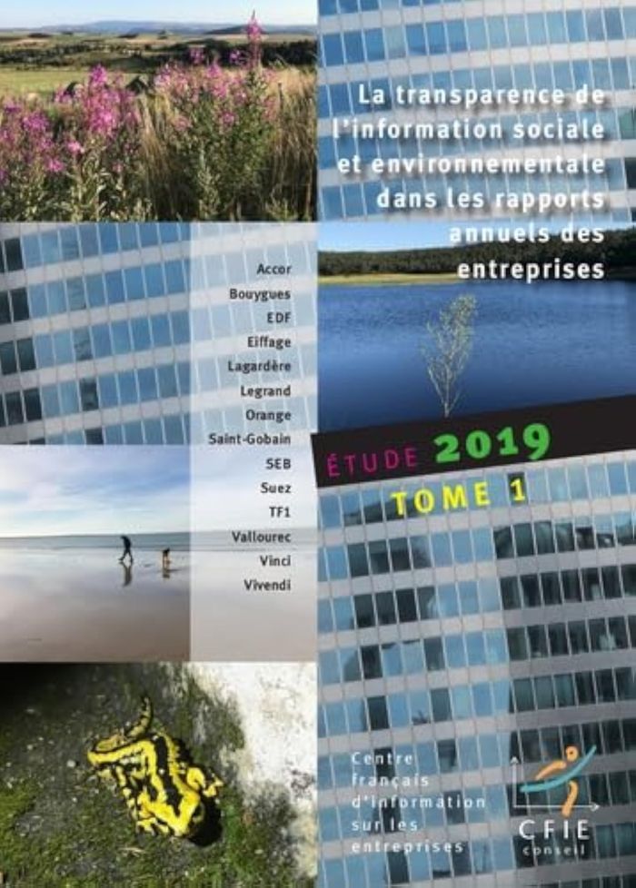 Couverture du livre « ETUDE 2019 SUR L'INFORMATION SOCIALE ET ENVIRONNEMENTALE DANS LES RAPPORTS ANNUELS DES ENTREPRISES - » de Collectif, librairie Les Contes Infusés à Corte
