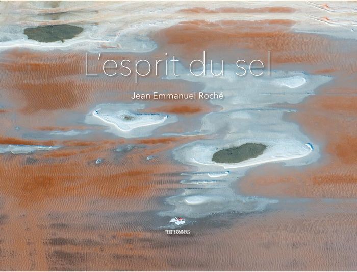 Couverture du livre « L'ESPRIT DU SEL », librairie Les Contes Infusés à Corte