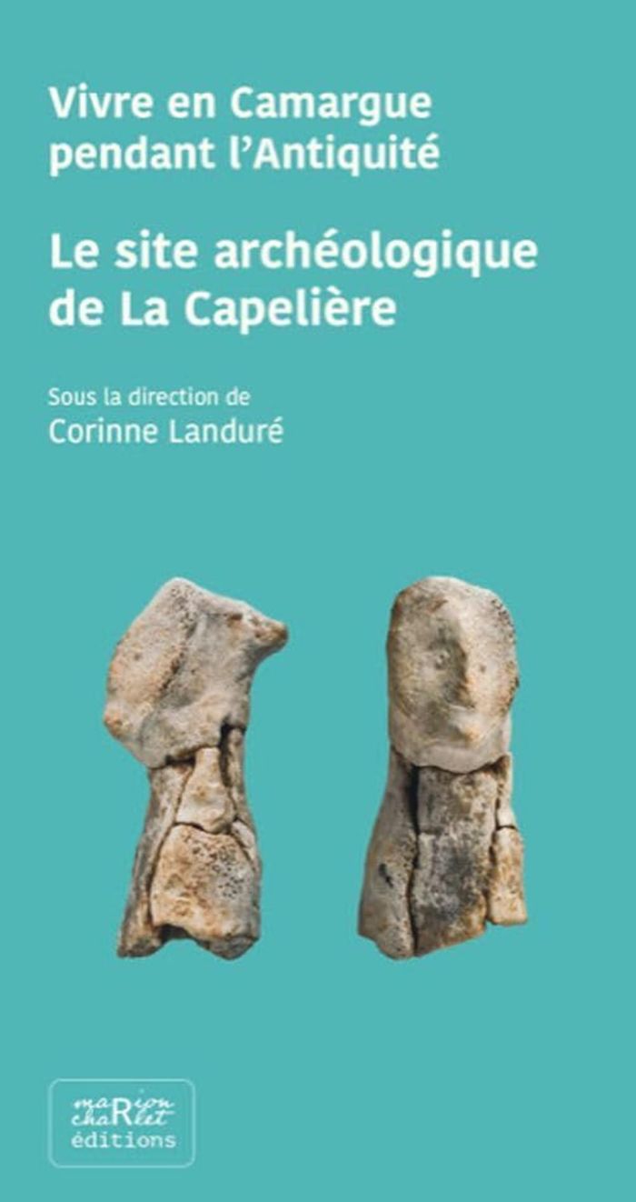 Couverture du livre « VIVRE EN CAMARGUE PENDANT L'ANTIQUITE - LE SITE ARCHEOLOGIQUE DE LA CAPELIERE » de Corinne Landure, librairie Les Contes Infusés à Corte