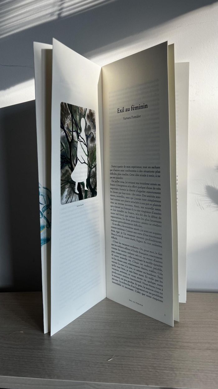 Couverture du livre « Exil au féminin : recueil de textes » de Varvara Pomidor, librairie Les Contes Infusés à Corte