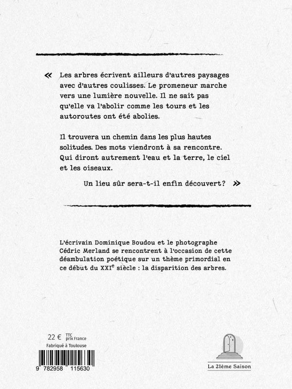Quatrième de couverture de « Les arbres écrivent aussi »