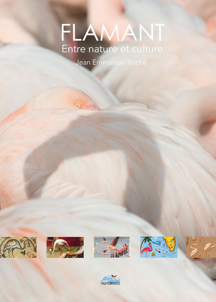 Couverture du livre « FLAMANT - ENTRE NATURE ET CULTURE », librairie Les Contes Infusés à Corte