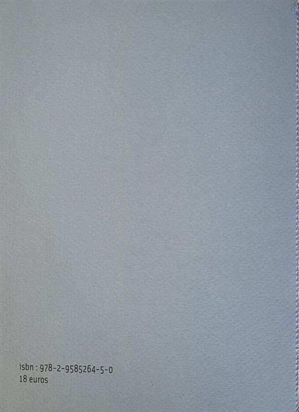 Quatrième de couverture de « L'essor et la trouée »