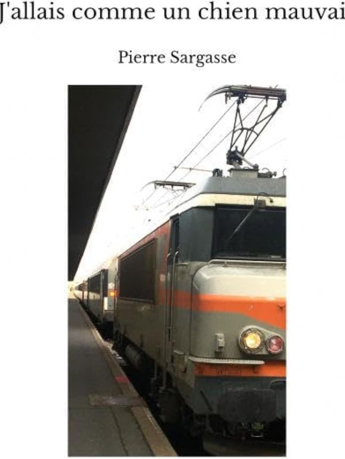 Couverture du livre « J'ALLAIS COMME UN CHIEN MAUVAIS » de Pierre Sargasse, librairie Les Contes Infusés à Corte