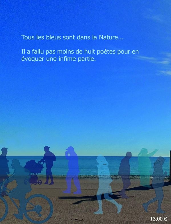 Quatrième de couverture de « Bleus »