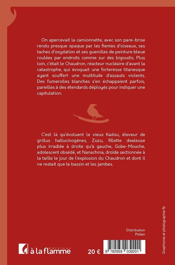 Quatrième de couverture de « Une camionnette qui servait de volière »