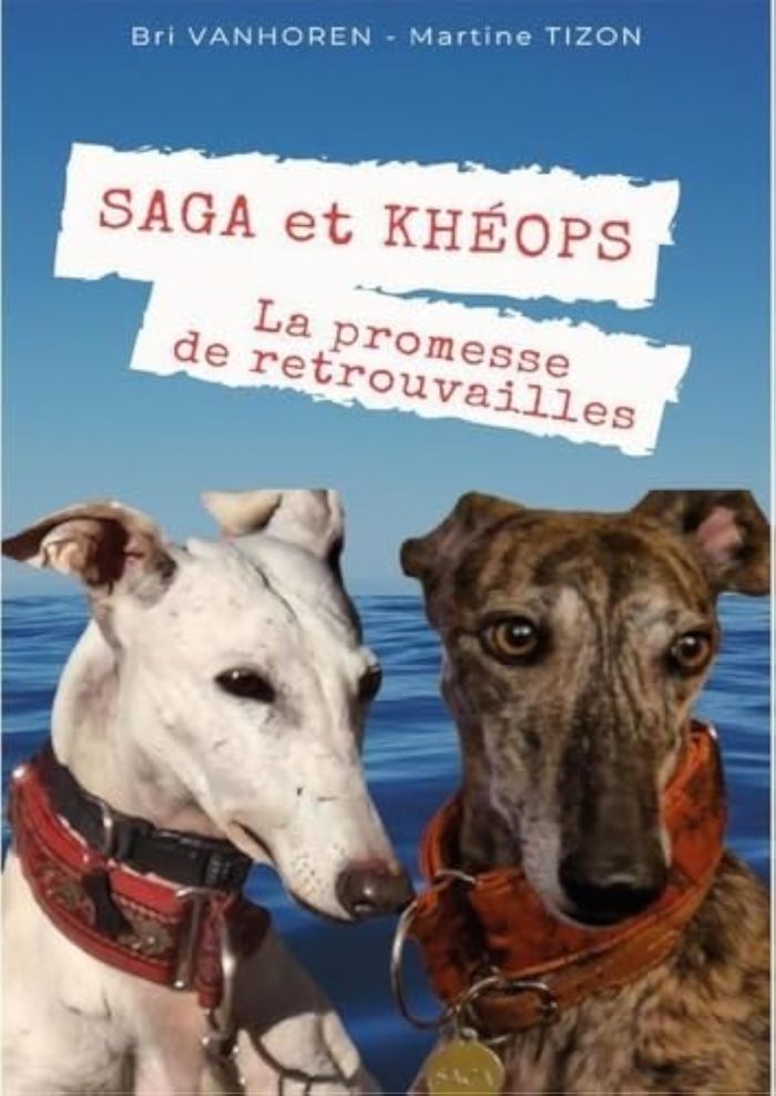 Couverture du livre « Saga et Kheops : la promesse de retrouvailles » de Martine Tizon, librairie Les Contes Infusés à Corte