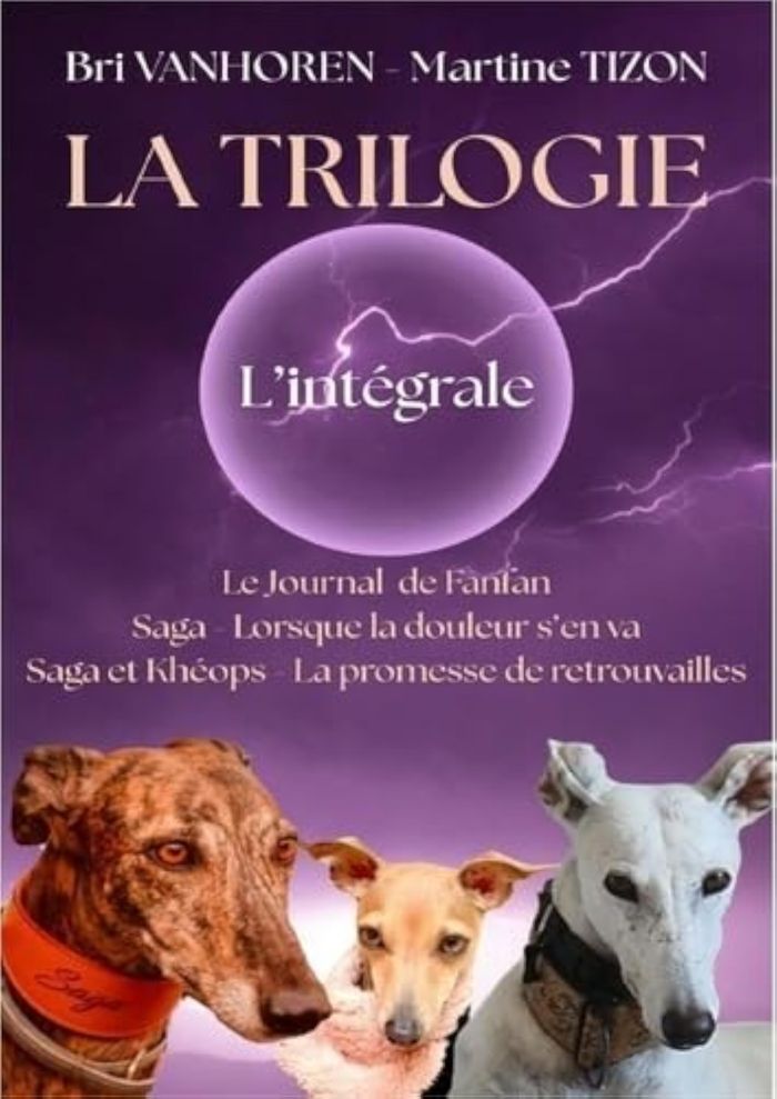 Couverture du livre « La trilogie : l'intégrale » de Martine Tizon, librairie Les Contes Infusés à Corte
