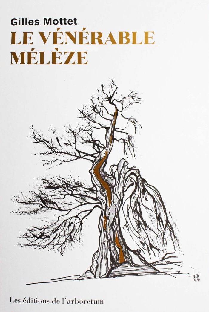 Couverture du livre « Le vénérable mélèze » de Gilles Mottet, librairie Les Contes Infusés à Corte