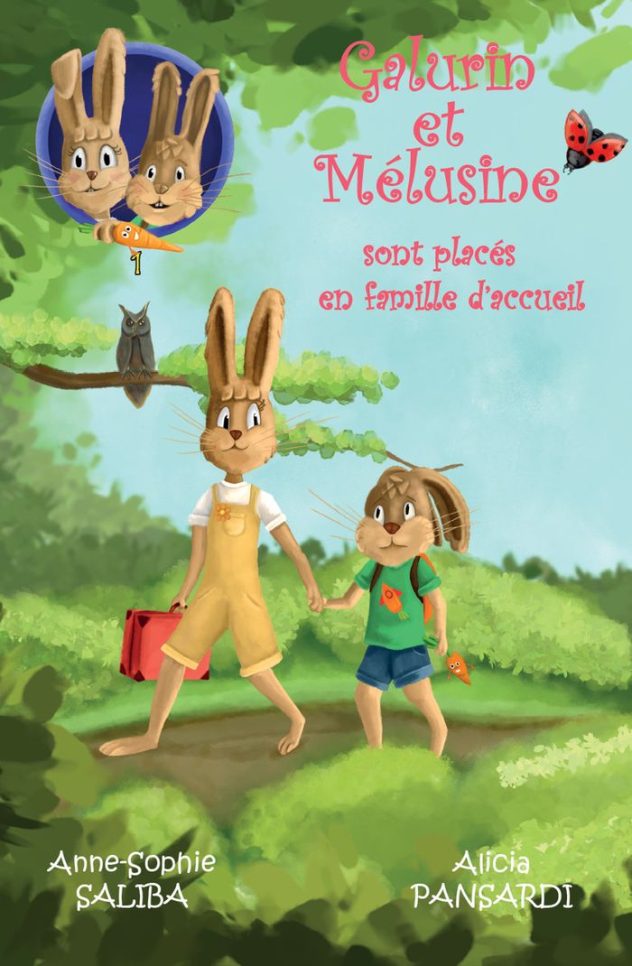 Couverture du livre « Galurin et Mélusine sont placés en famille d'accueil » de Anne-Sophie Saliba, librairie Les Contes Infusés à Corte