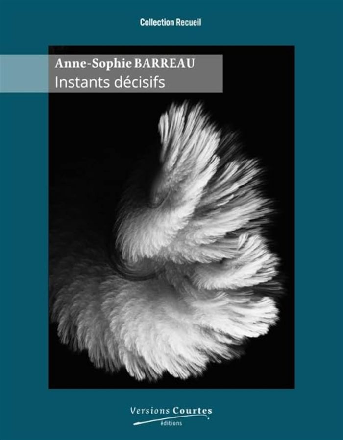 Couverture du livre « Instants décisifs » de Anne-Sophie Barreau, librairie Les Contes Infusés à Corte