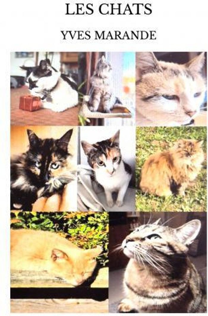 Couverture du livre « Les chats » de Yves Marande, librairie Les Contes Infusés à Corte