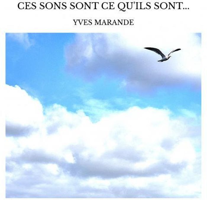 Couverture du livre « Ces sons sont ce qu'ils sont...ils sont...des sons... » de Yves Marandes, librairie Les Contes Infusés à Corte