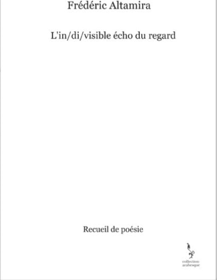 Couverture du livre « L'IN/DI/VISIBLE ECHO DU REGARD », librairie Les Contes Infusés à Corte