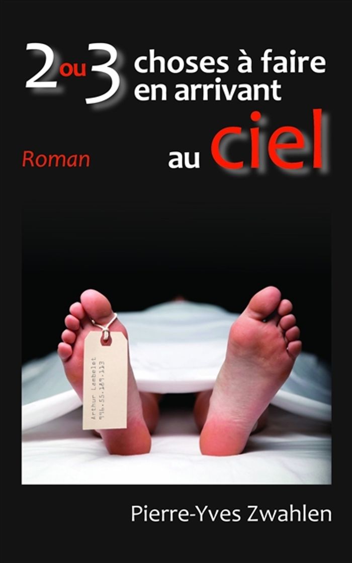 Couverture du livre « 2 OU 3 CHOSES A FAIRE EN ARRIVANT AU CIEL » de Pierre-Yves Zwahlen, librairie Les Contes Infusés à Corte