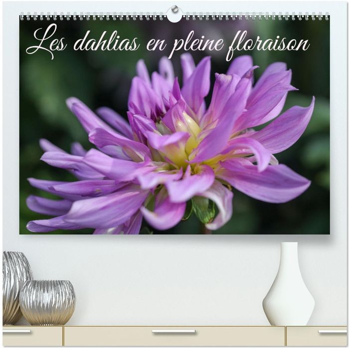 Couverture du livre « LES DAHLIAS EN PLEINE FLORAISON (CALENDRIER MURAL 2026 DIN A2 VERTICAL) CALENDRIER DE BUREAU - CE CA » de Sarah Gillieron, librairie Les Contes Infusés à Corte