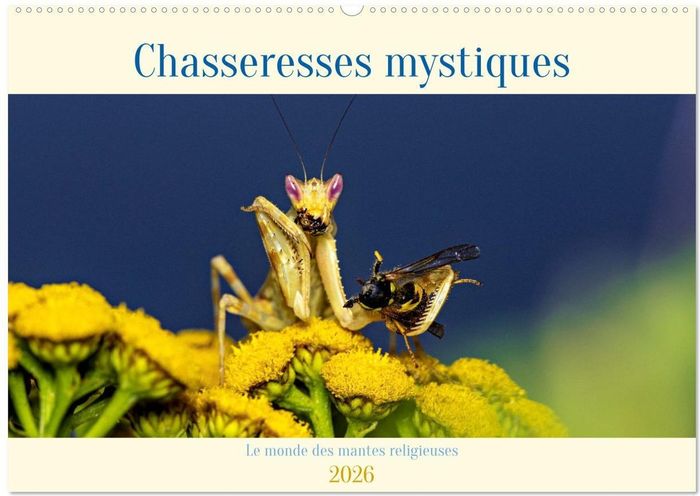 Couverture du livre « CHASSERESSES MYSTIQUES (CALENDRIER MURAL 2026 DIN A2 VERTICAL), CALVENDO CALENDRIER MENSUEL - CHASSE » de Roland Brack, librairie Les Contes Infusés à Corte