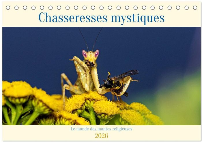Couverture du livre « CHASSERESSES MYSTIQUES (CALENDRIER DE BUREAU 2026 DIN A5 VERTICAL), CALVENDO CALENDRIER MENSUEL - CH » de Roland Brack, librairie Les Contes Infusés à Corte