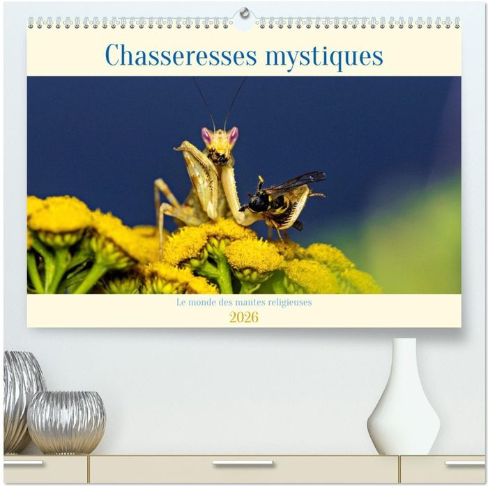 Couverture du livre « CHASSERESSES MYSTIQUES (CALENDRIER MURAL 2026 DIN A2 VERTICAL) CALENDRIER DE BUREAU - CHASSERESSES M » de Roland Brack, librairie Les Contes Infusés à Corte