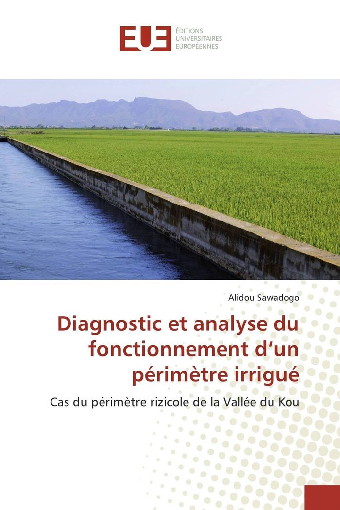 Couverture du livre « DIAGNOSTIC ET ANALYSE DU FONCTIONNEMENT D'UN PERIMETRE IRRIGUE » de Alidou Sawadogo, librairie Les Contes Infusés à Corte