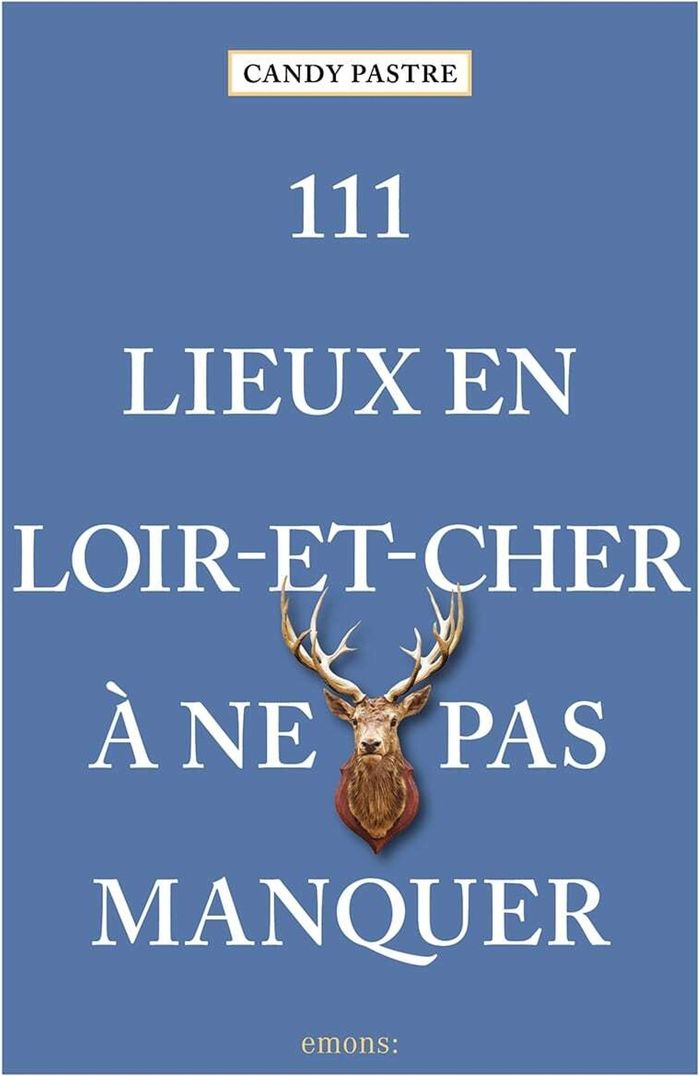 Couverture du livre « 111 lieux en Loir-et-Cher à ne pas manquer » de Candy Pastre, librairie Les Contes Infusés à Corte