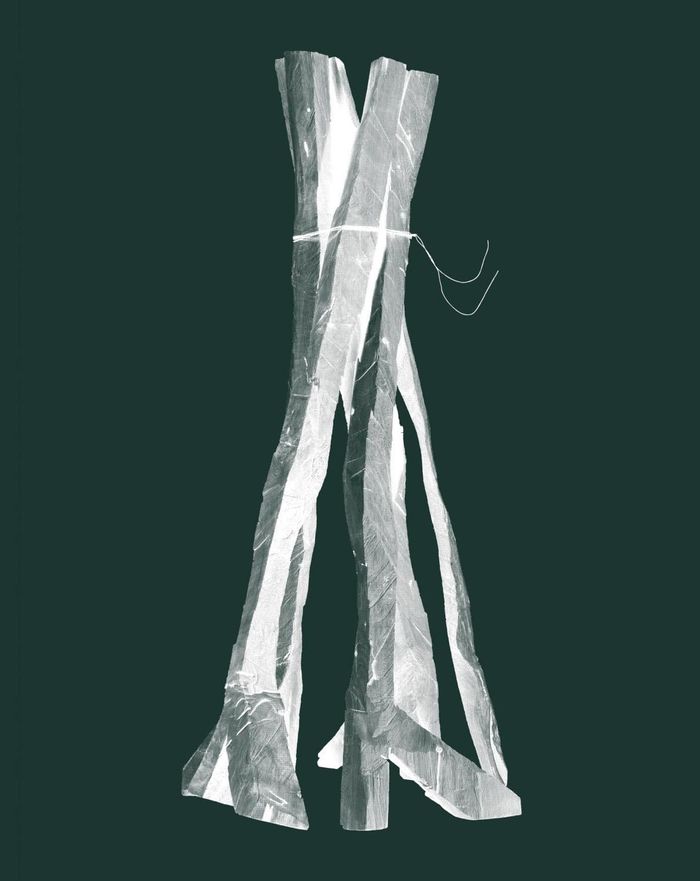 Couverture du livre « GEORG BASELITZ SCULPTURES 2011-2015 /ANGLAIS » de Xxx, librairie Les Contes Infusés à Corte