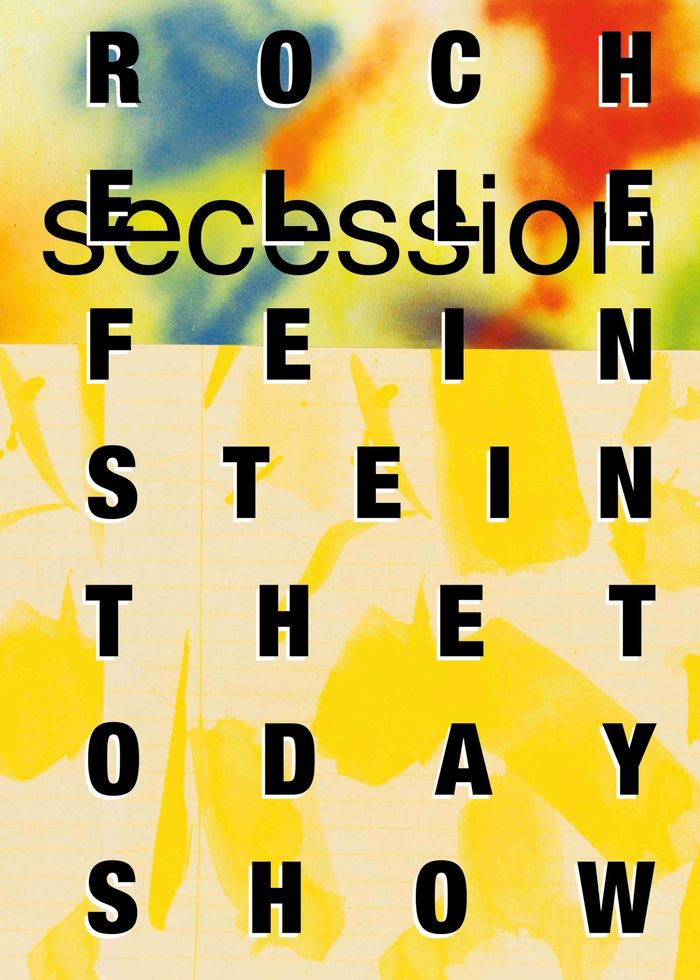 Couverture du livre « ROCHELLE FEINSTEIN (SECESSION, WIEN) /ANGLAIS/ALLEMAND », librairie Les Contes Infusés à Corte