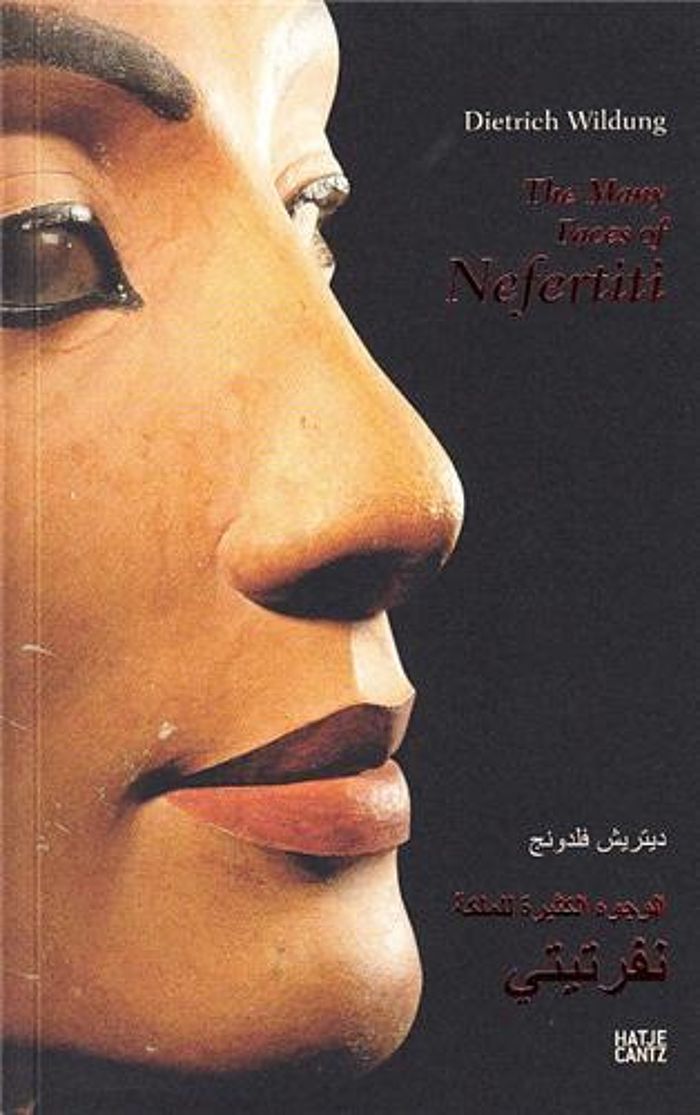 Couverture du livre « THE MANY FACES OF NEFERTITI /ANGLAIS/ARABE », librairie Les Contes Infusés à Corte
