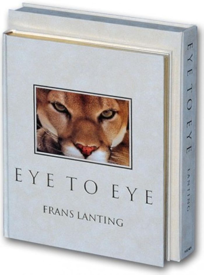 Couverture du livre « CE-EYE TO EYE » de Collectif, librairie Les Contes Infusés à Corte