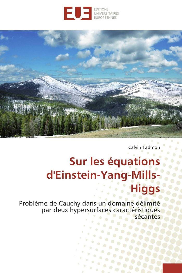 Couverture du livre « SUR LES EQUATIONS D'EINSTEIN-YANG-MILLS-HIGGS », librairie Les Contes Infusés à Corte