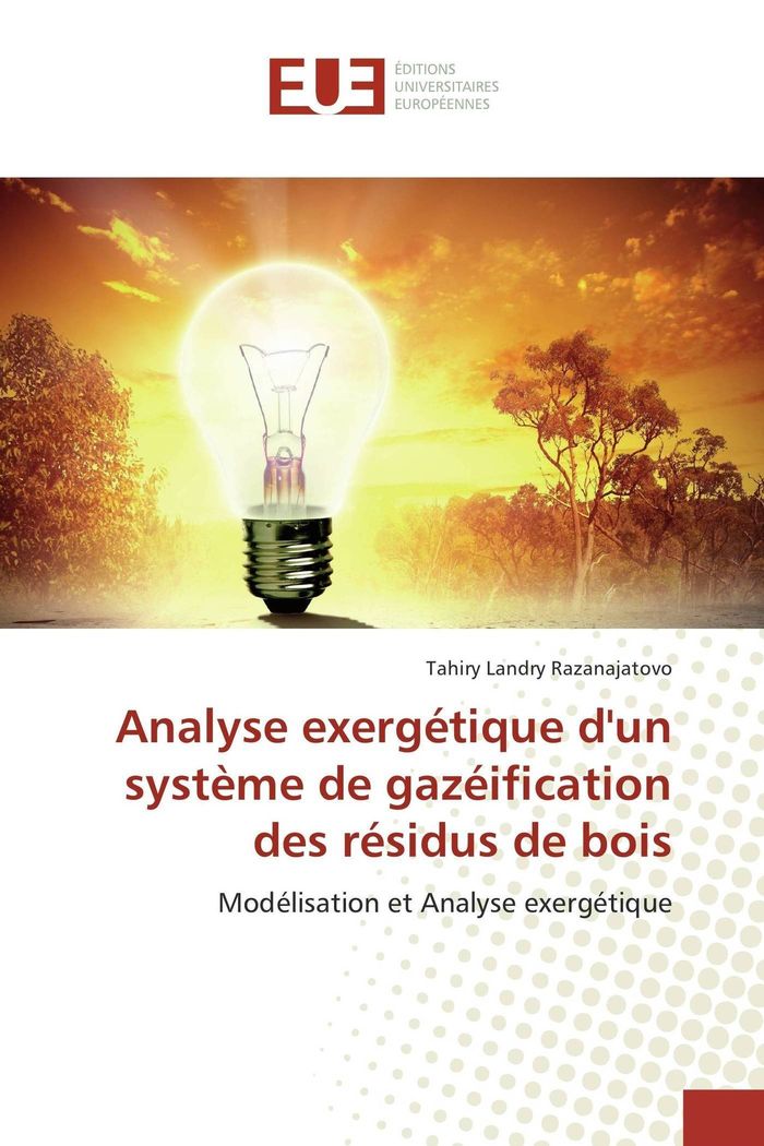 Couverture du livre « ANALYSE EXERGETIQUE D'UN SYSTEME DE GAZEIFICATION DES RESIDUS DE BOIS » de Razanajatovo Landry, librairie Les Contes Infusés à Corte